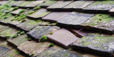 Little Canfield roof repair costs